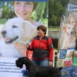 Karlovarsk krajsk vstava ps